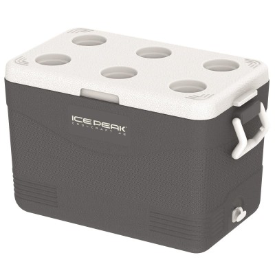 IcePeak CoolCraft 46 Buzluk 41.6 Litre-FÜME-Icepeak