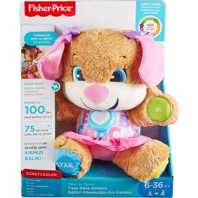 Fisher Price Eğitci Köpekçiğin Kız Kardeşi (Türkçe)-Fisher Price