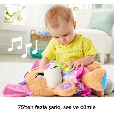 Fisher Price Eğitci Köpekçiğin Kız Kardeşi (Türkçe)-Fisher Price