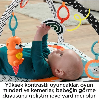 Fisher Price Neşeli Hayvanlar 3'ü 1 Arada Jimnastik Merkezi Oyun Halısı-Fisher Price