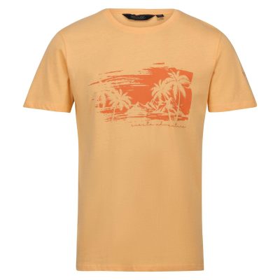 Regatta Cline VII Erkek T-Shirt-TURUNCU