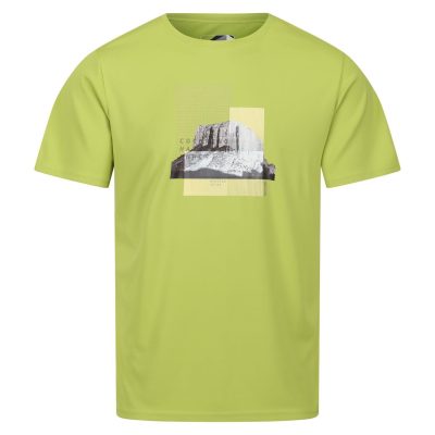 Regatta Fingal VII Erkek T-Shirt-YEŞİL