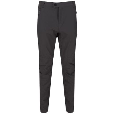 Regatta Highton Trouser Trekking Erkek Pantolon-GRİ