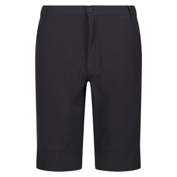 Regatta Highton ShortLong Erkek Şort-GRİ